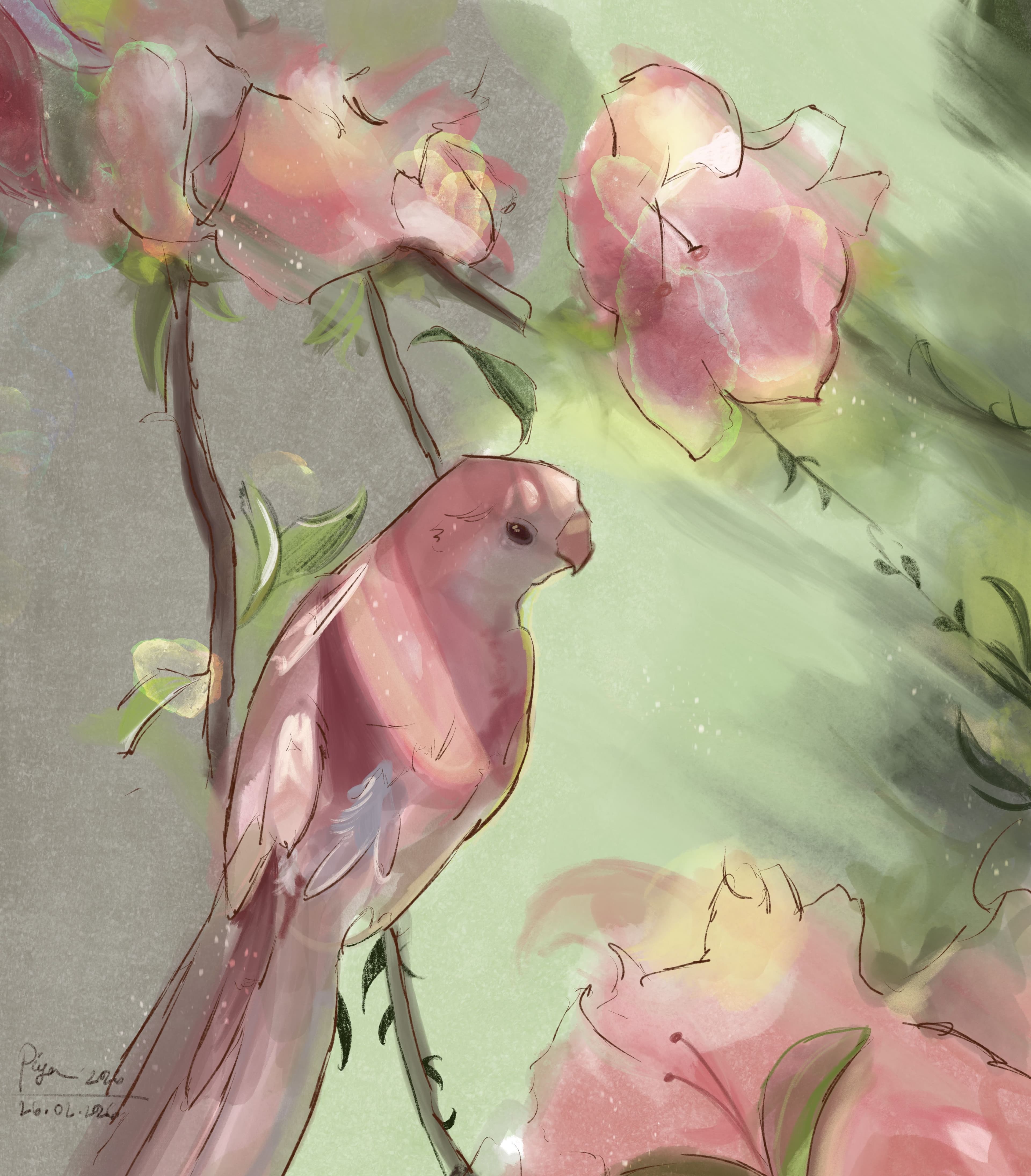 Blush