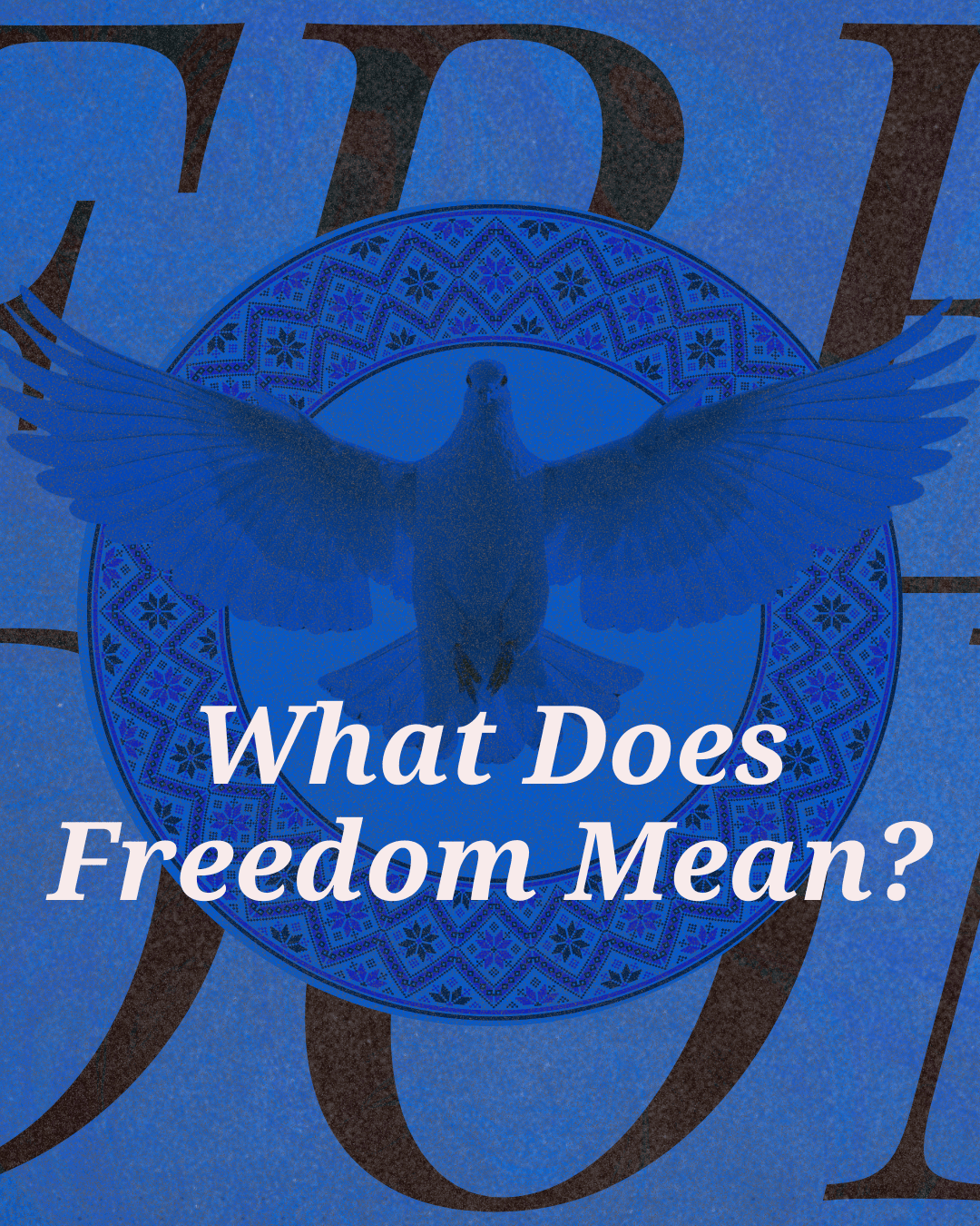 What Does Freedom Mean?